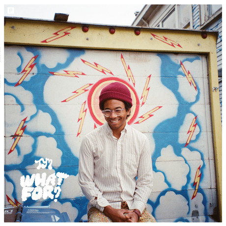 Toro Y Moi What For album cover